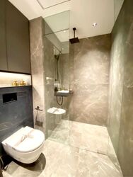 Irwell Hill Residences (D9), Apartment #628870311